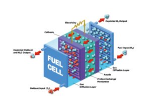 Schematic of Hydrogen Fuel Cell